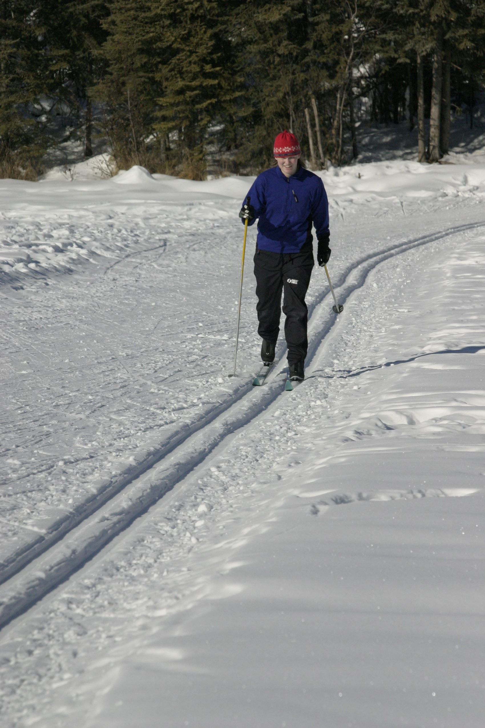 A skier cruising down a cross-country track.