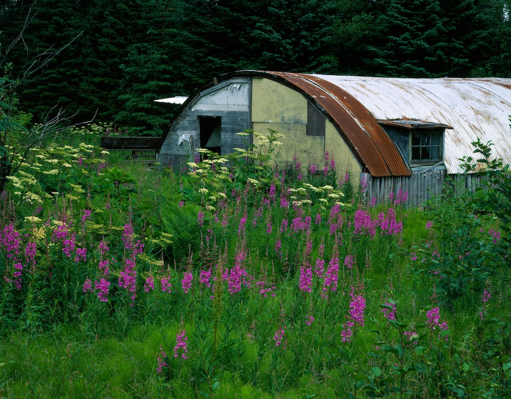A field of pink fireweed flowers and other other blooms in the yard of a picturesque building with a rounded roof.
