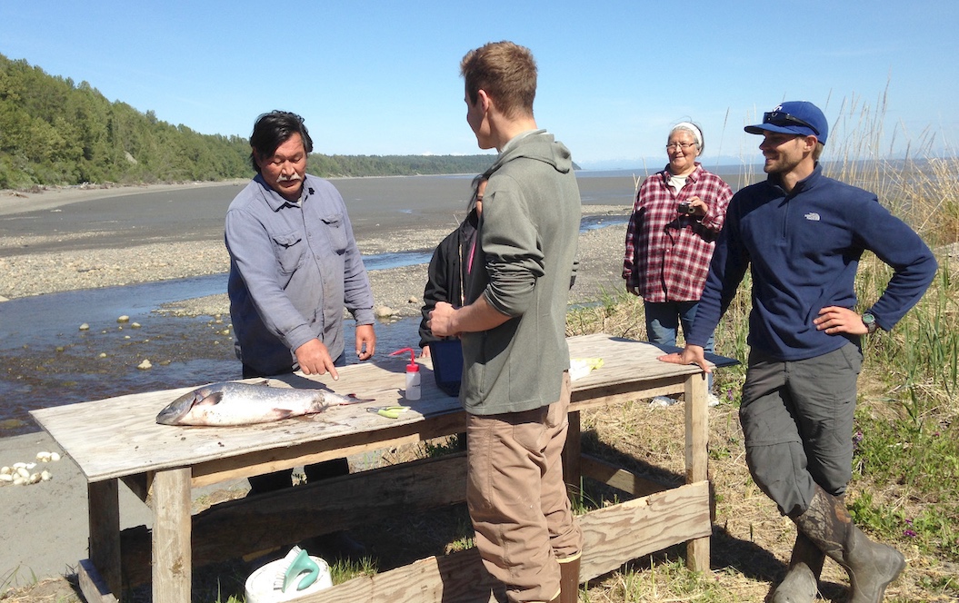 Graduate interns learn from subsistence harvesters on an interdisciplinary project in Tyonek, Alaska, combining traditional knowledge and genetics to understand the migration patterns of Chinook salmon.