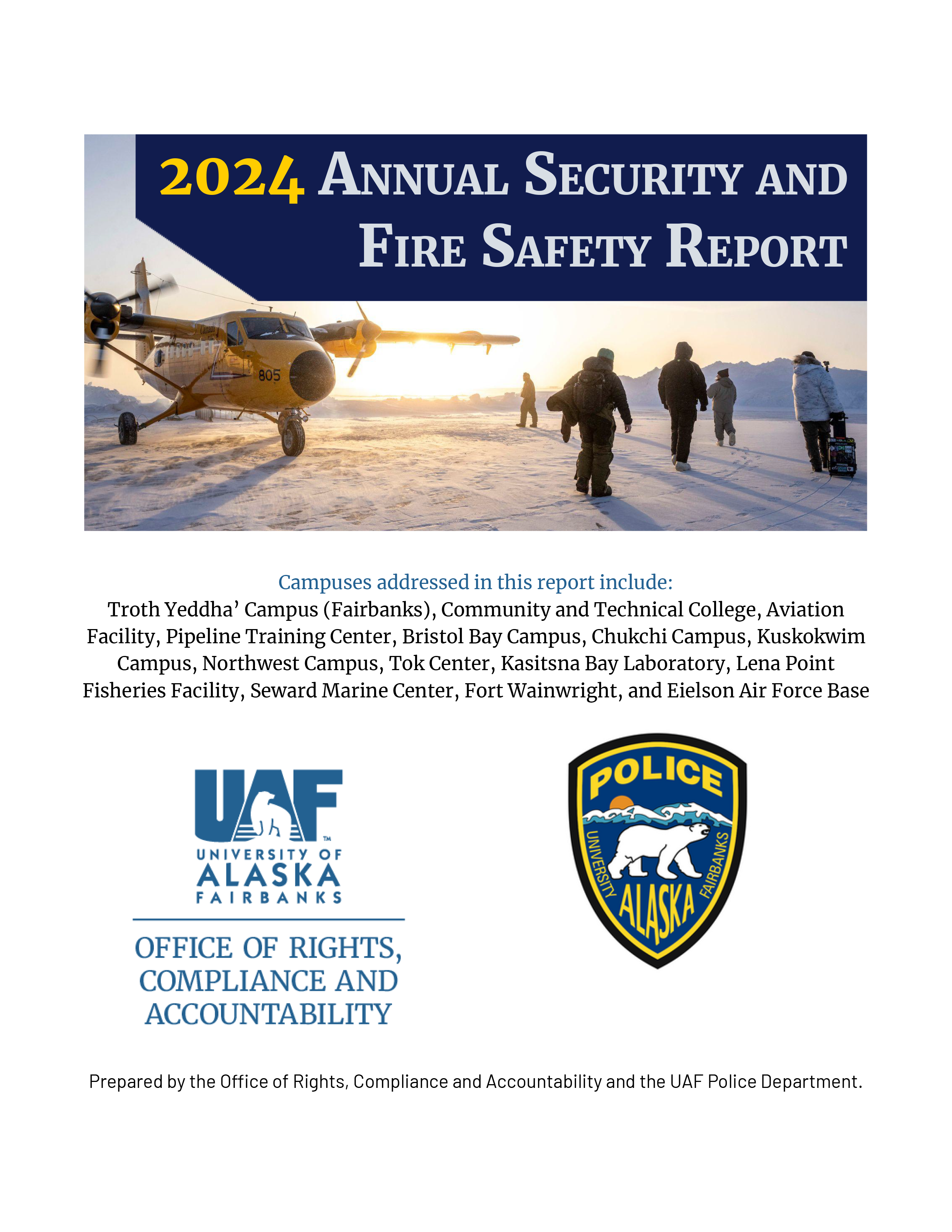 Annual security report book cover