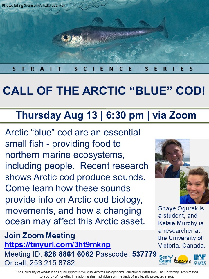 Call of the Arctic "Blue" Cod! Flyer