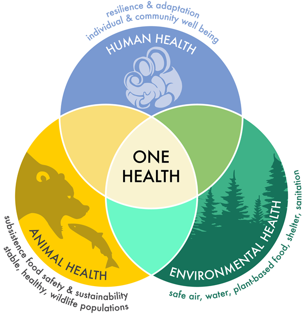 What is One Health? | Center for One Health Research