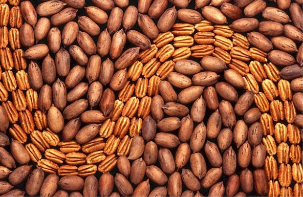 A wave of pecans crossing through a sea of cocoa beans 