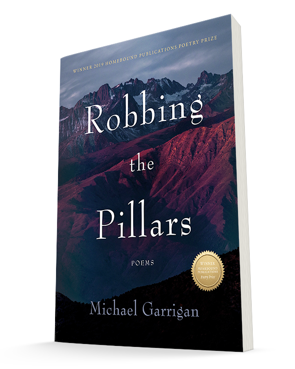 Image of the book Robbing the Pillars