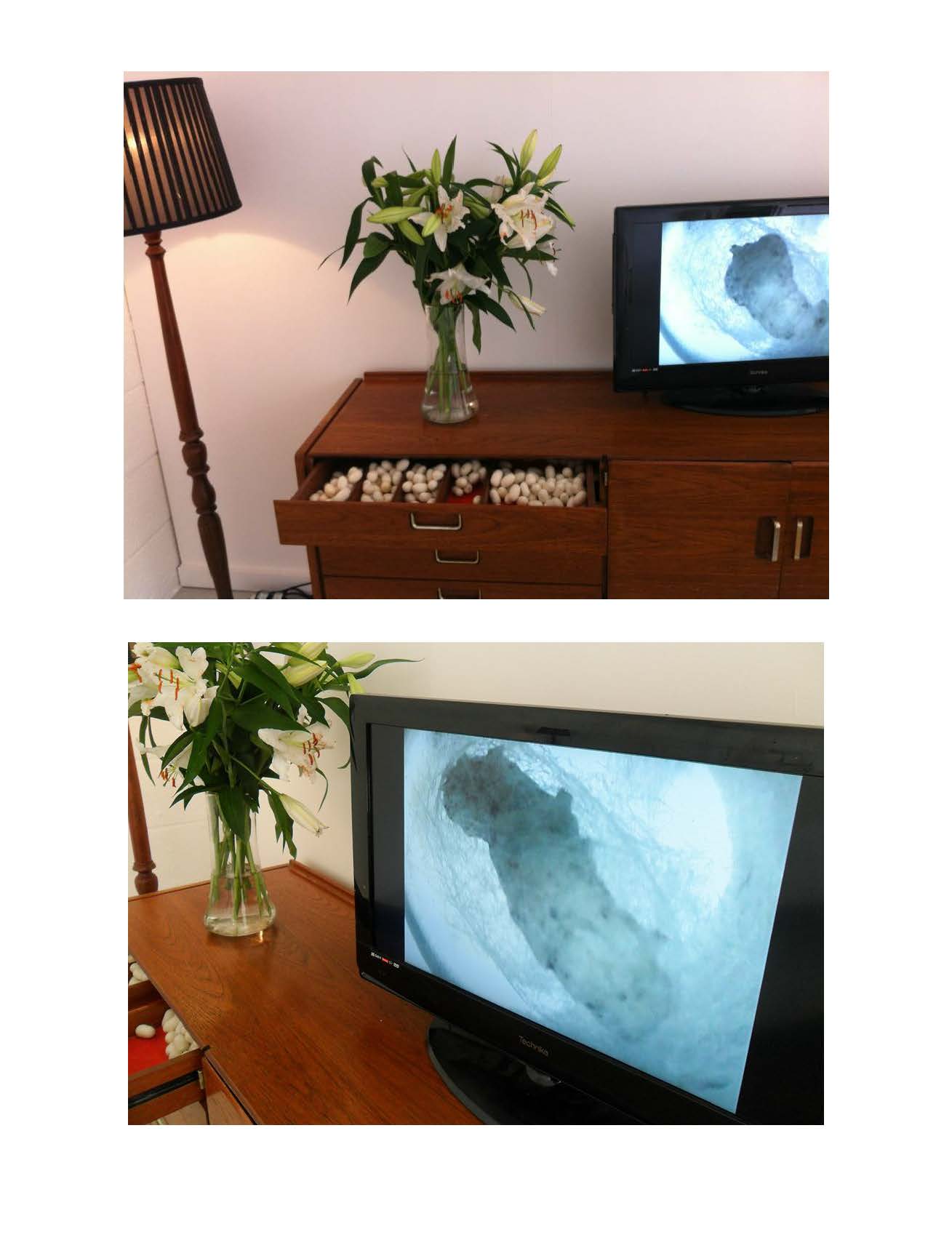 A wooden nightstand holding a TV with a drawer pulled open revealing more cocoons inside