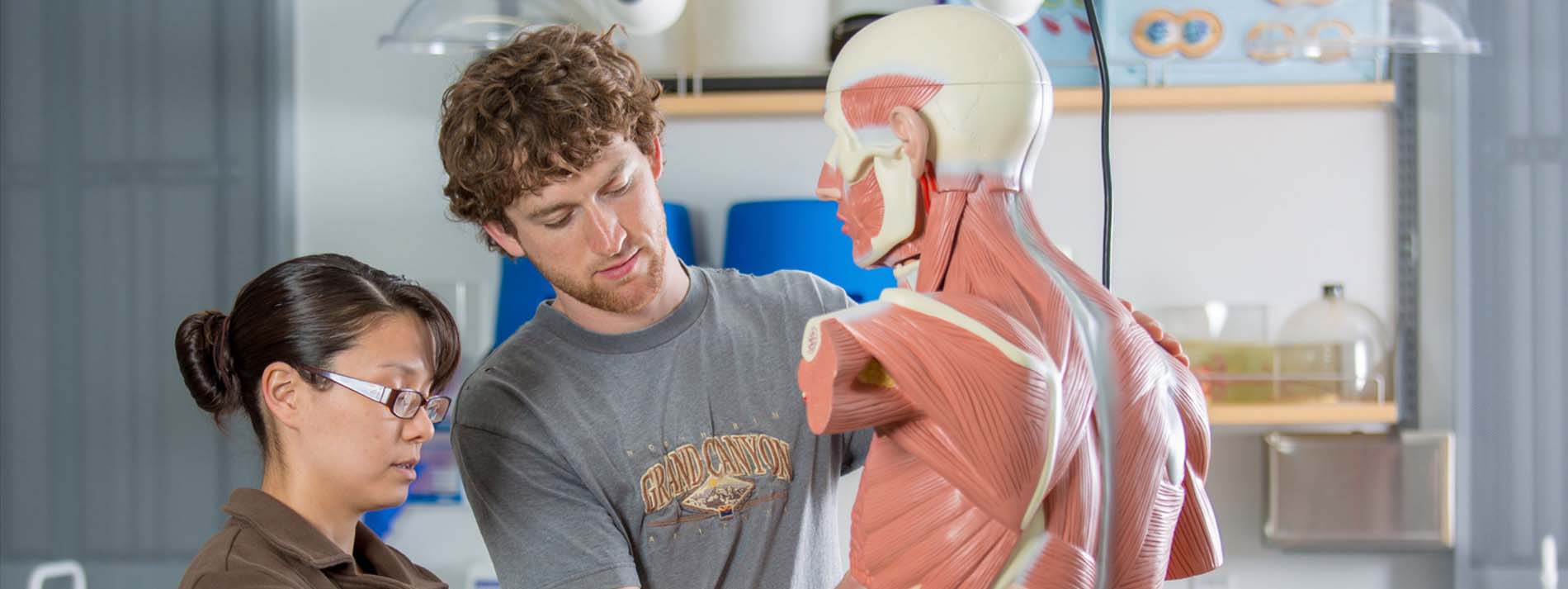 students learn about anatomy