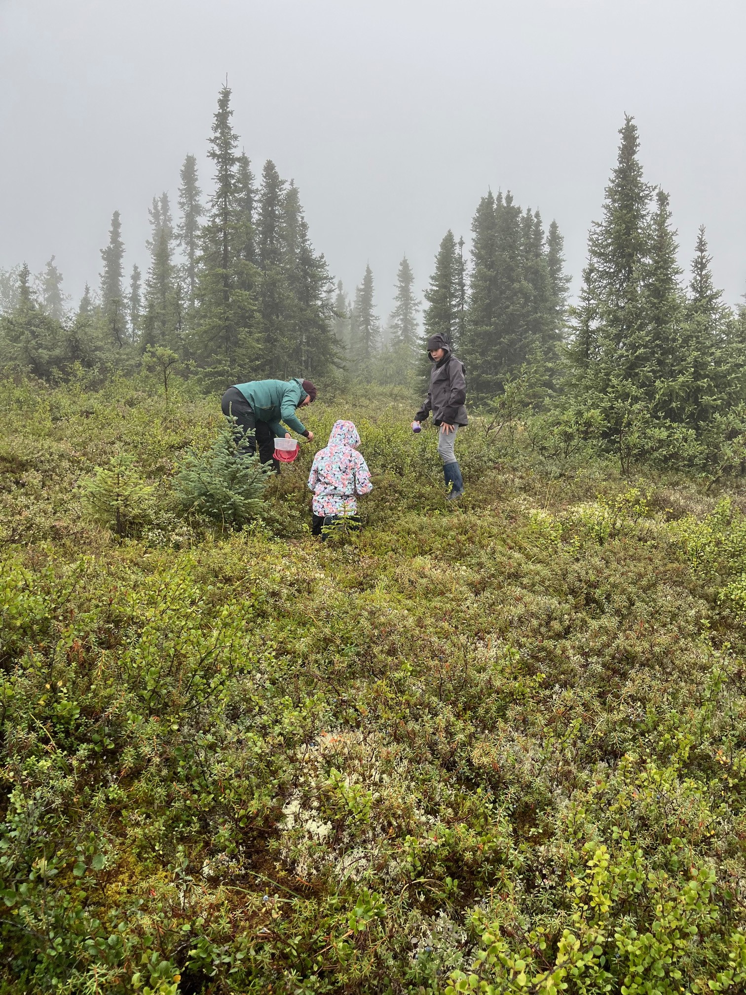 A family berry picking 