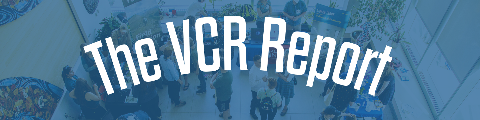 The VCR Report newsletter header