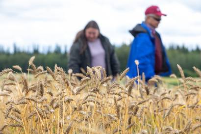 Attendees tour the Experiment Farm and learn about the variety of crops and research projects that fill the fields during the Experiment Farm Field Day on the UAF campus