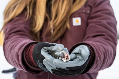 UAF's Wildlife Society Club members participate in ice fishing at Chena Lake