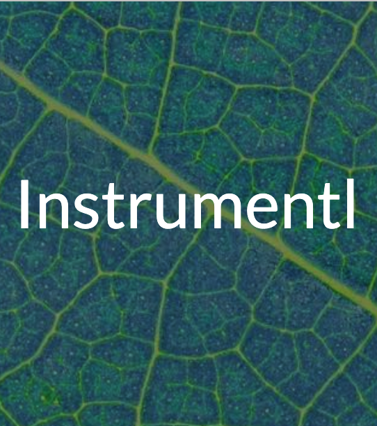 Word - Instrumentl - superimposed over leaf background