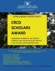Flyer for CIS Scholars award