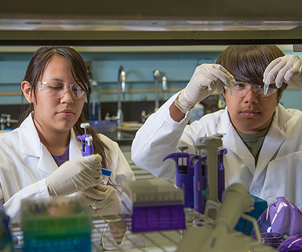 Two students in lab doing some testing