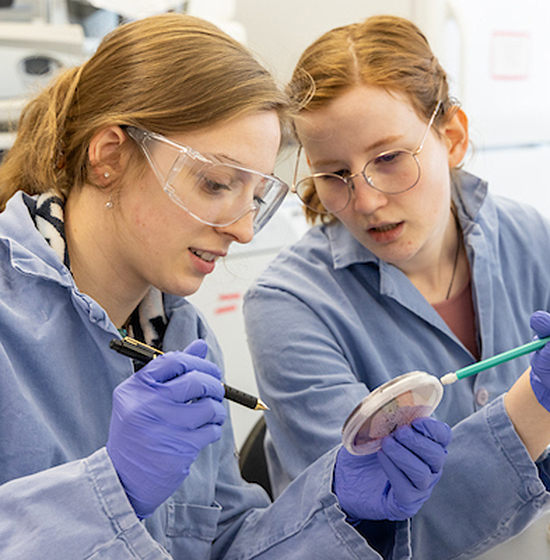 Two students in a lab doing testing
