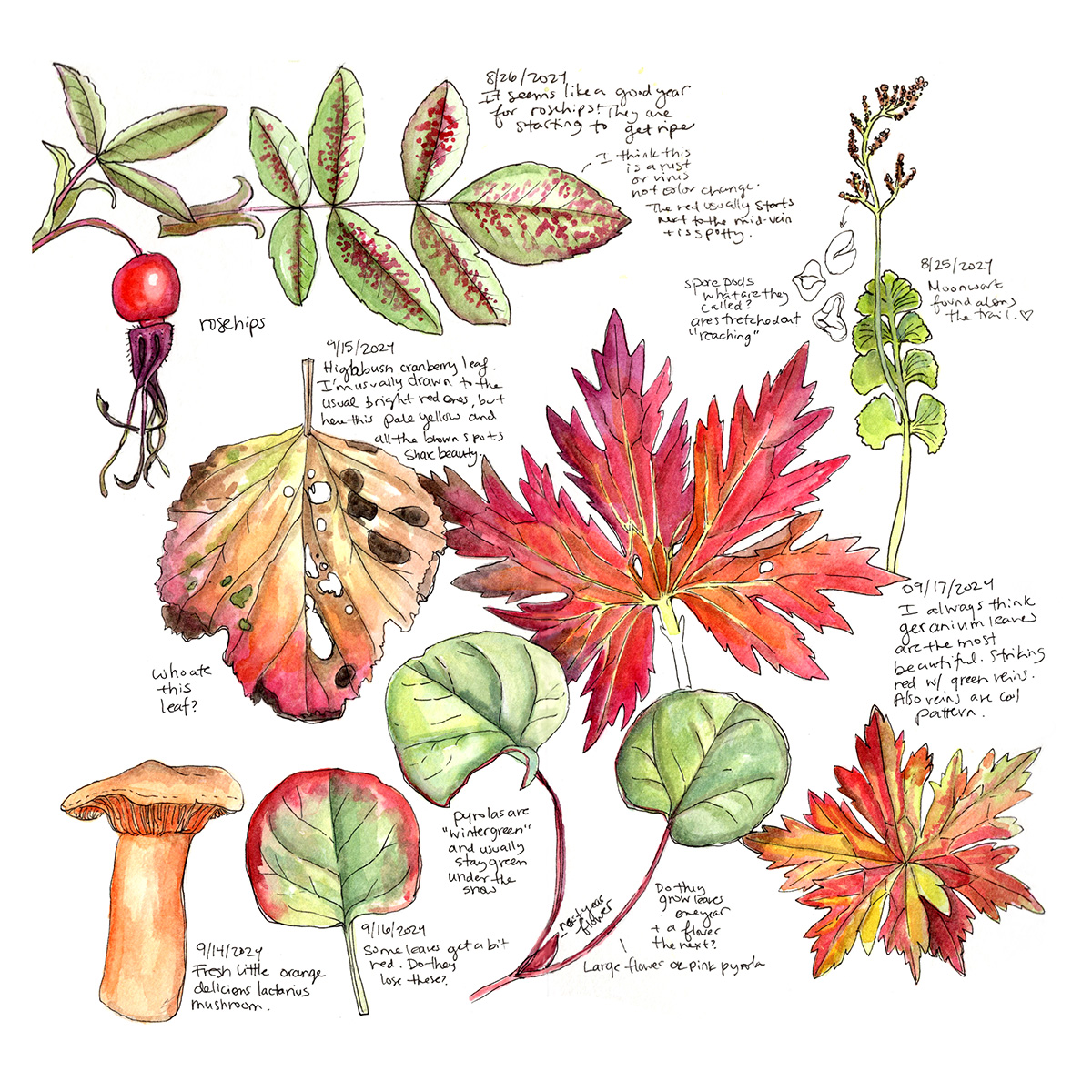 Kristin Link sketchbook