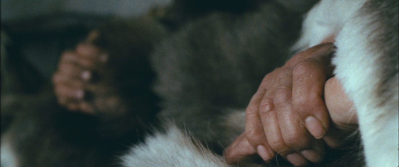 Film still from Shaaghan Neekwaii (Two Old Women) by Princess Dazaraii Johnson