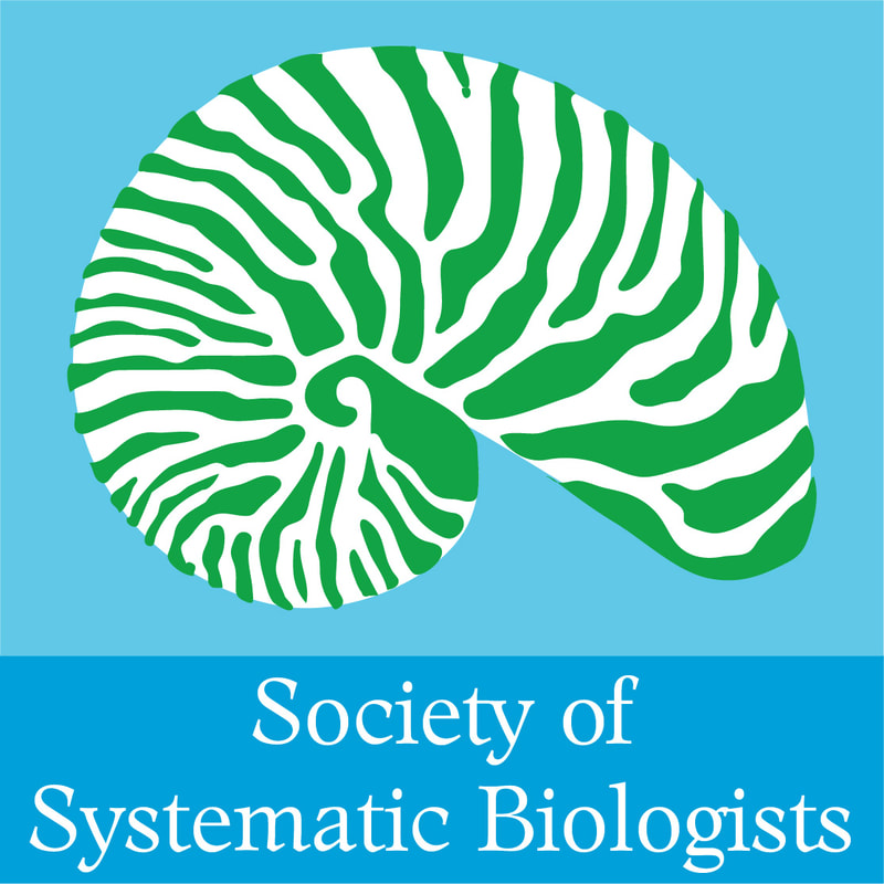 Systematics of Arctic Salix