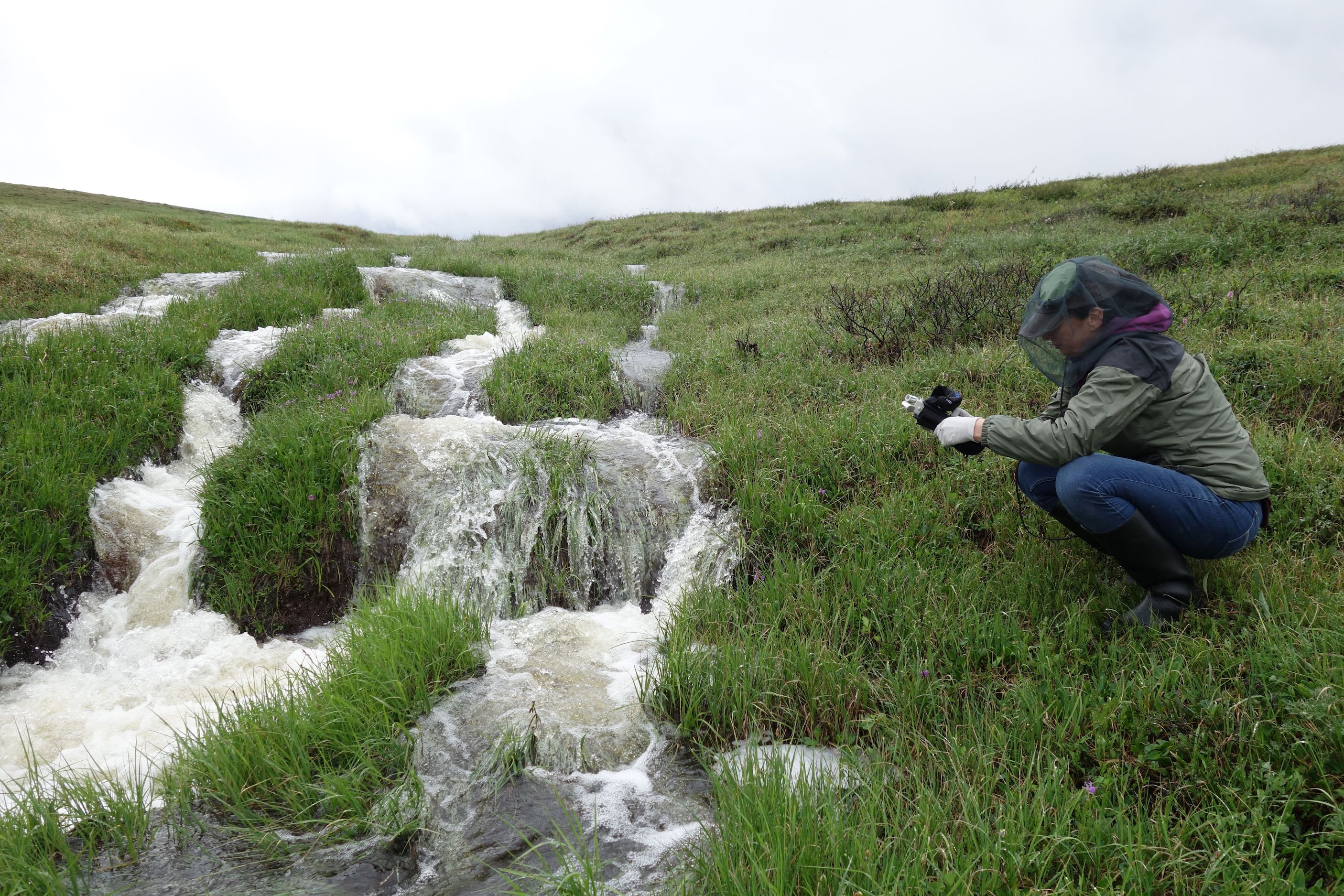 Nikki Lindt stoops by an Arctic stream to capture audio recordings of the tundra.