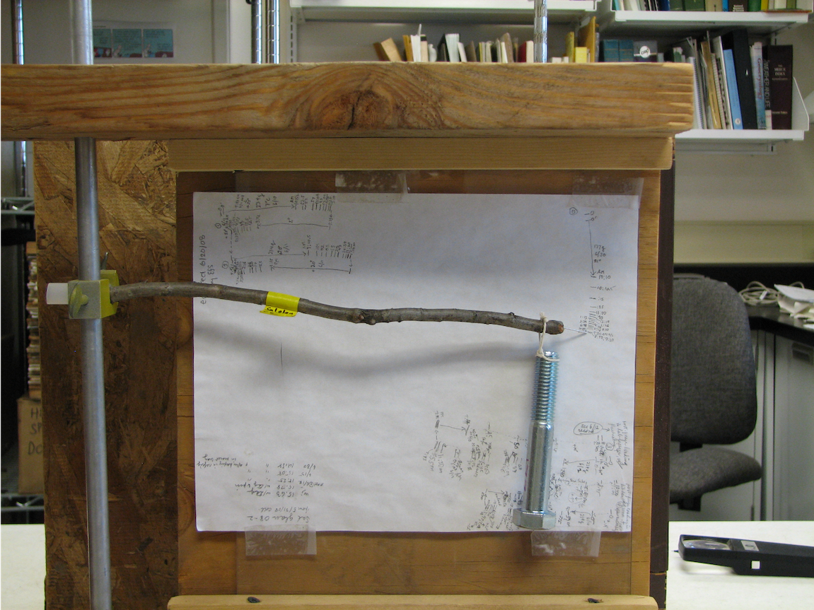 a stick mounted horizontally with a weight on the end in front of a piece of white paper mounted on plywood