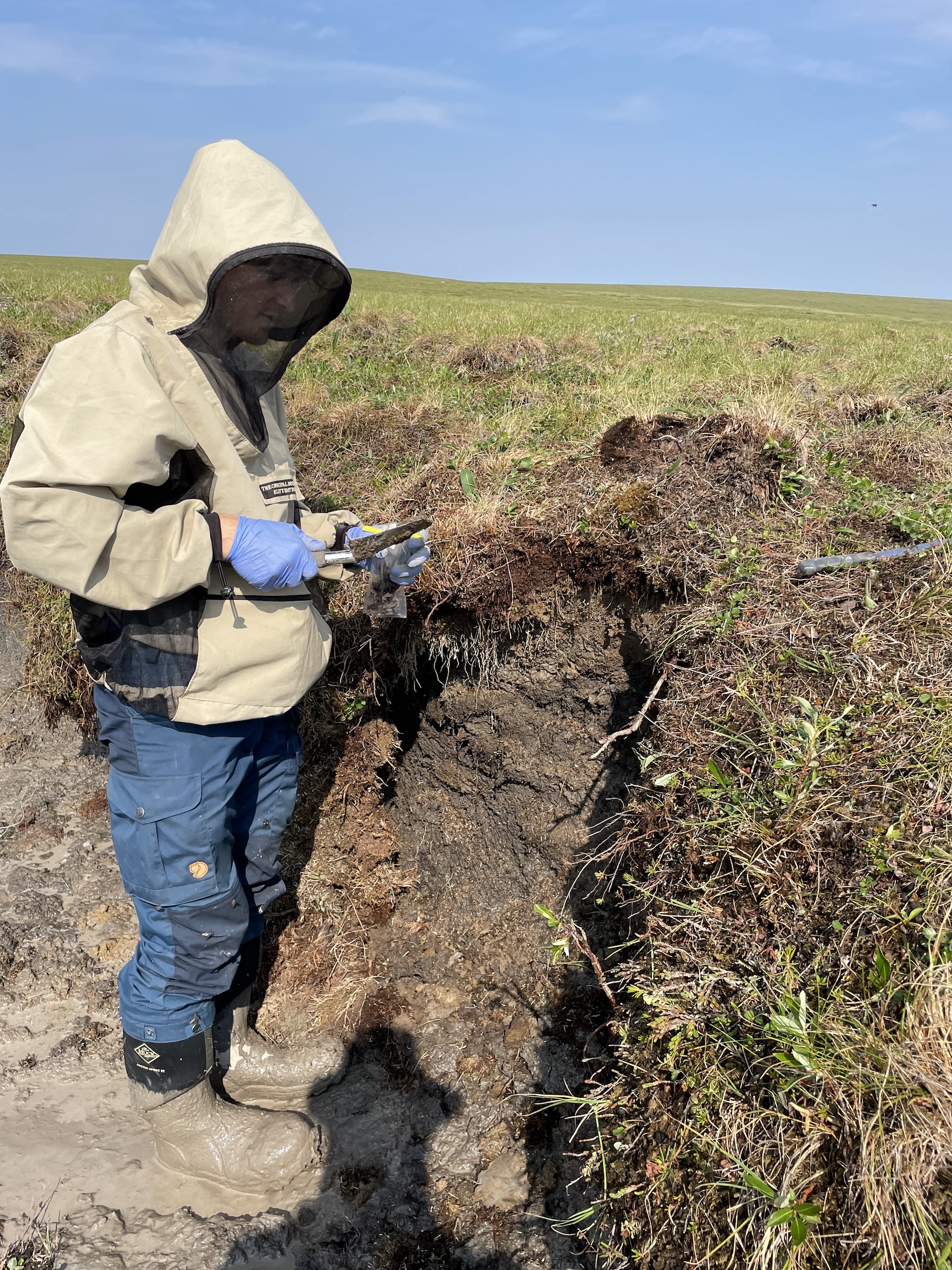 man in bug shirt sampling soil