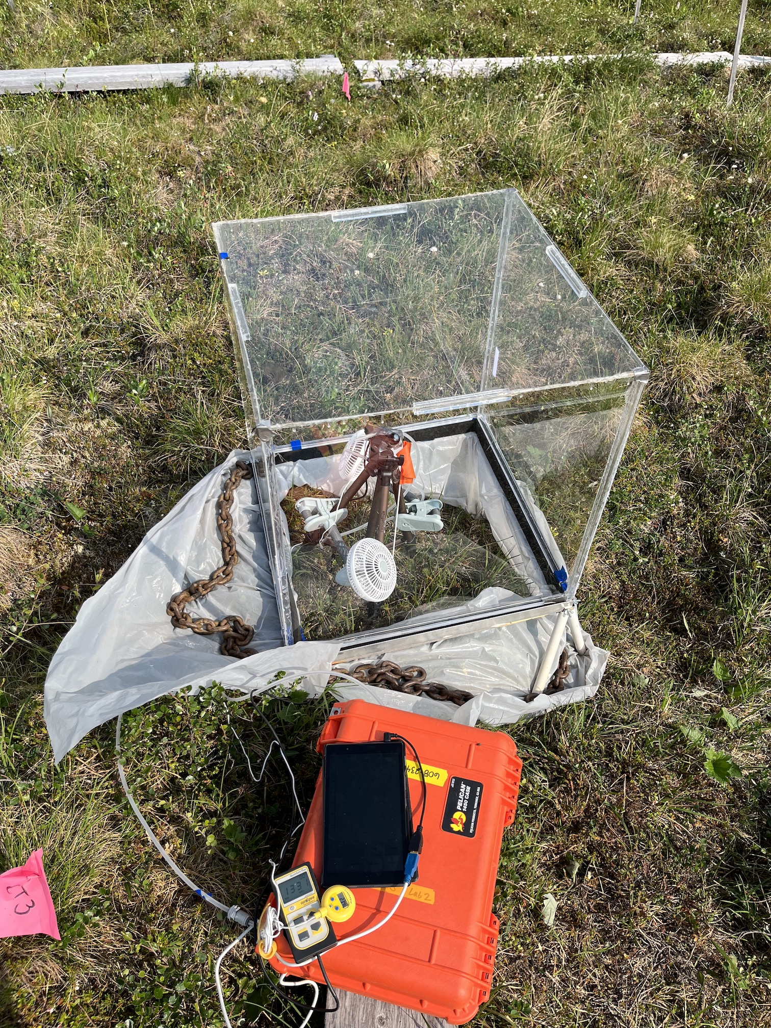 plastic in situ gas flux chamber installed in tundra
