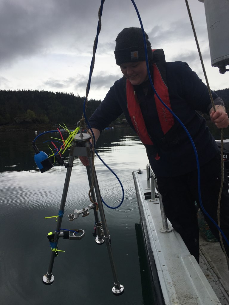 Samantha Allen lowering a drop camera in Peterson Bay to capture video of the benthic environment. 