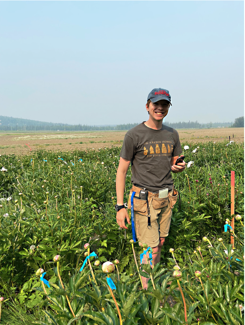 A student standing in a field of peony buds.