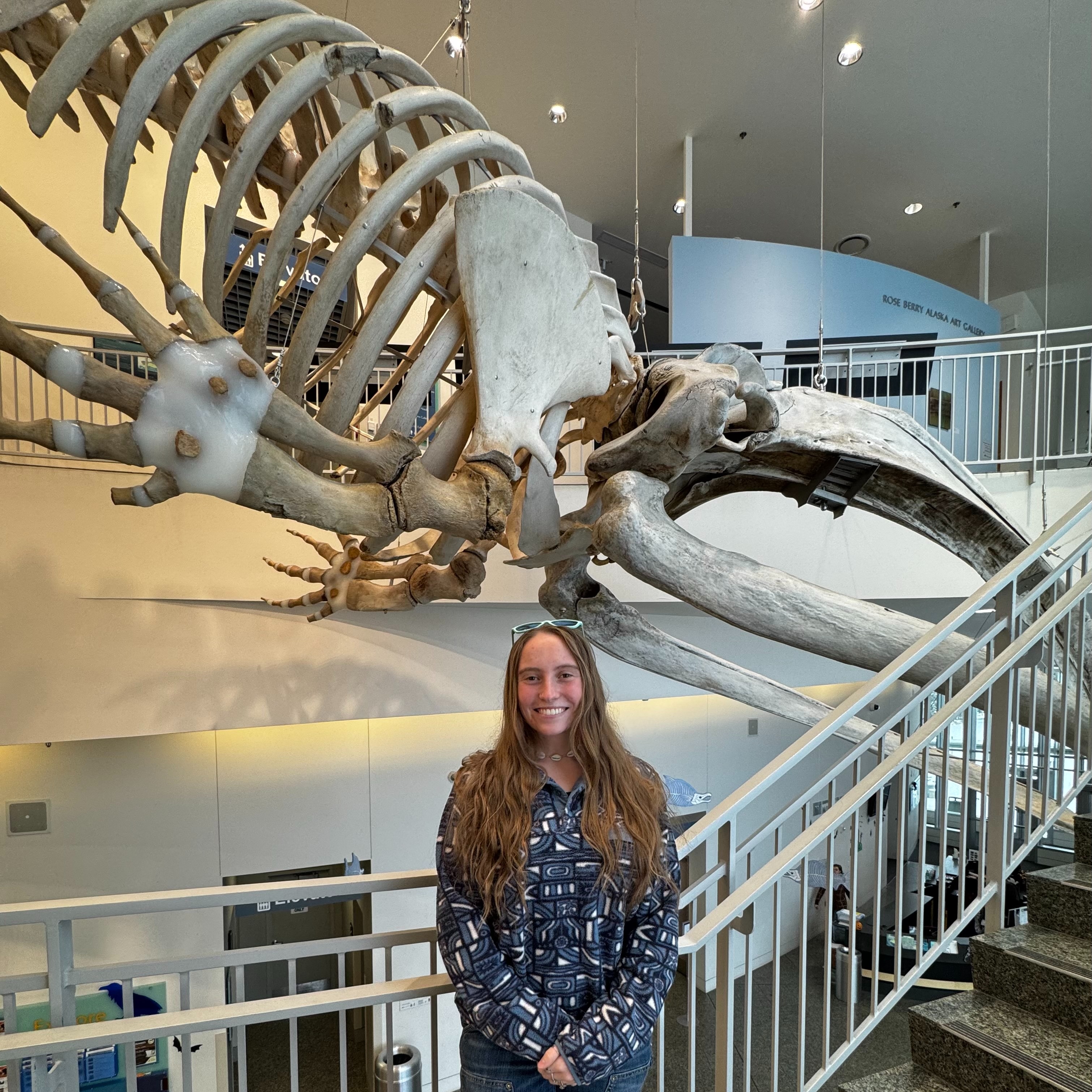 Queenie stands on a staircase in front of a whale skeleton at UAMN