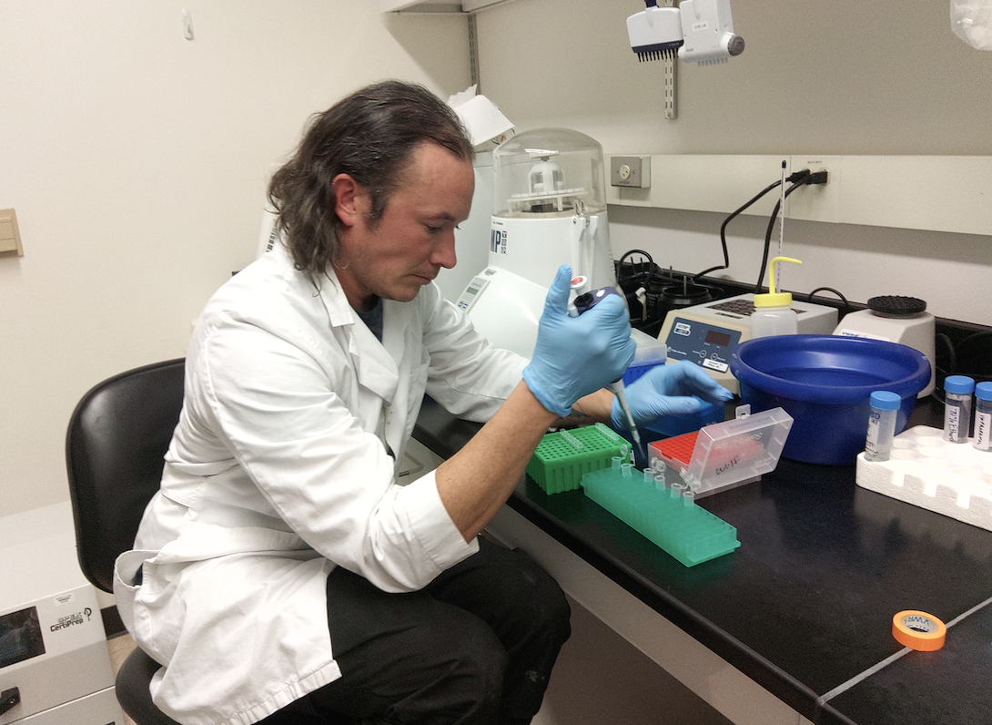 Danny working in a labcoat with a pipet in hand