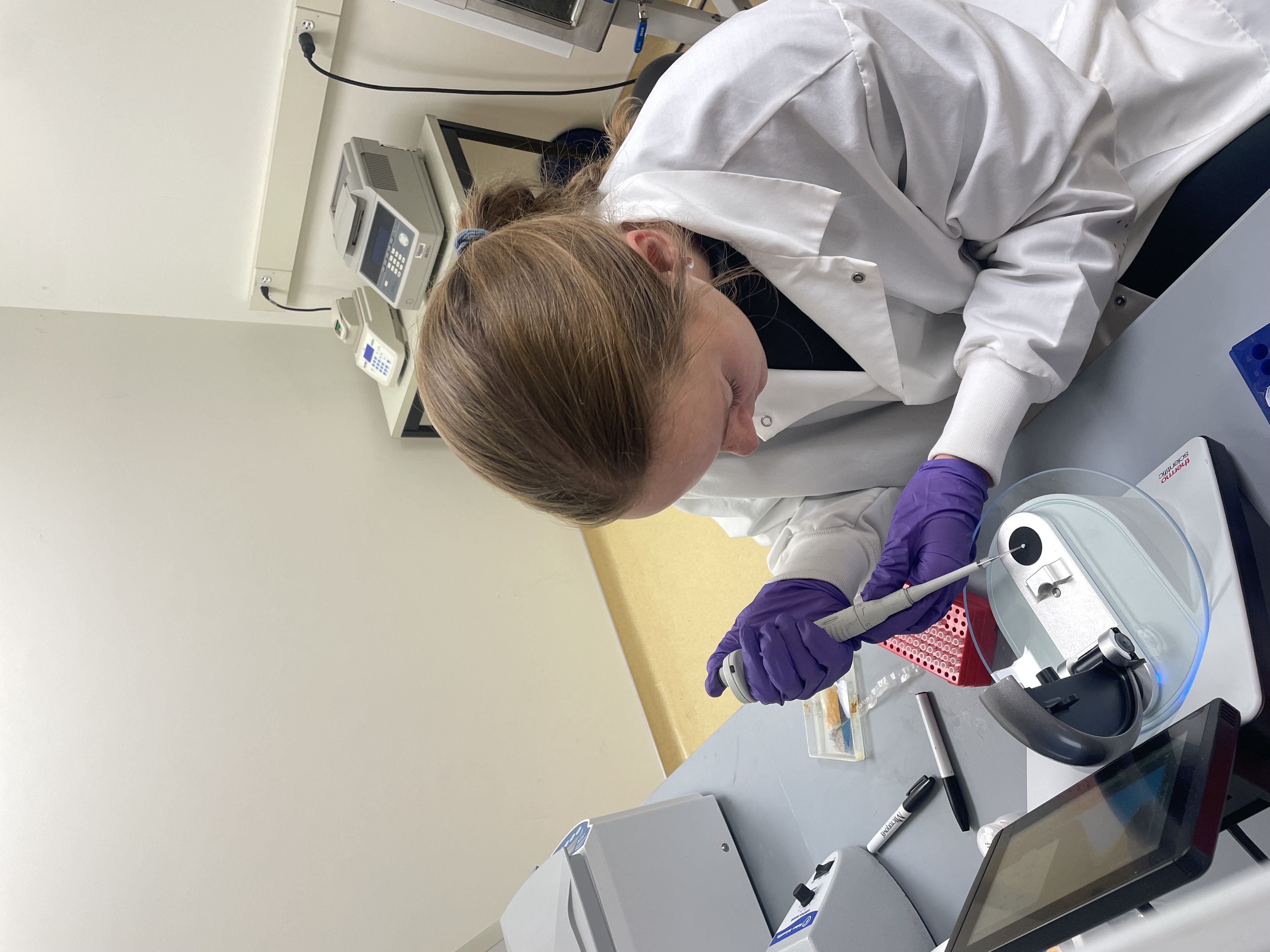 Dorothy working in the lab