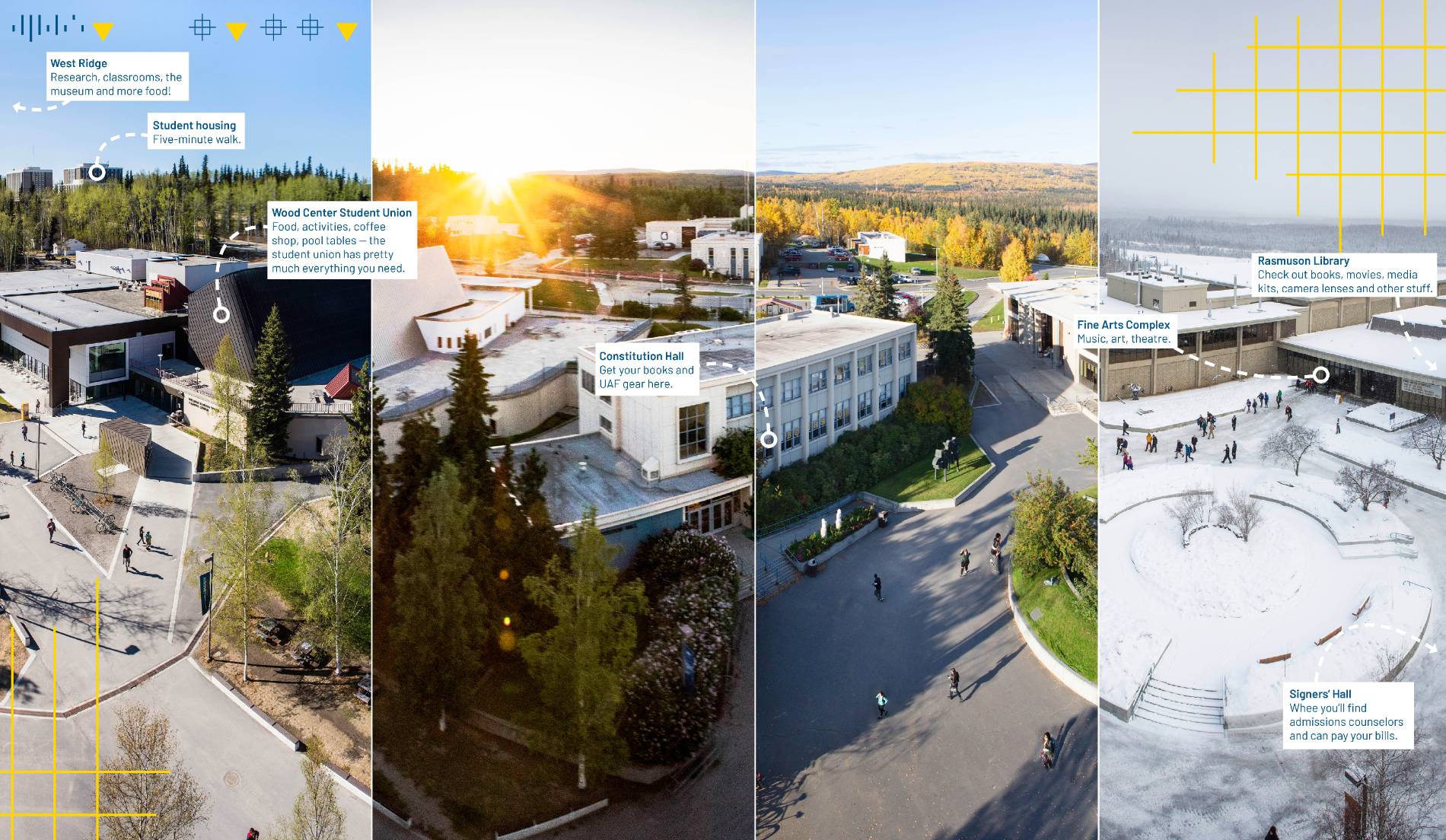 Collage of 无码乱伦 campus core through the four seasons