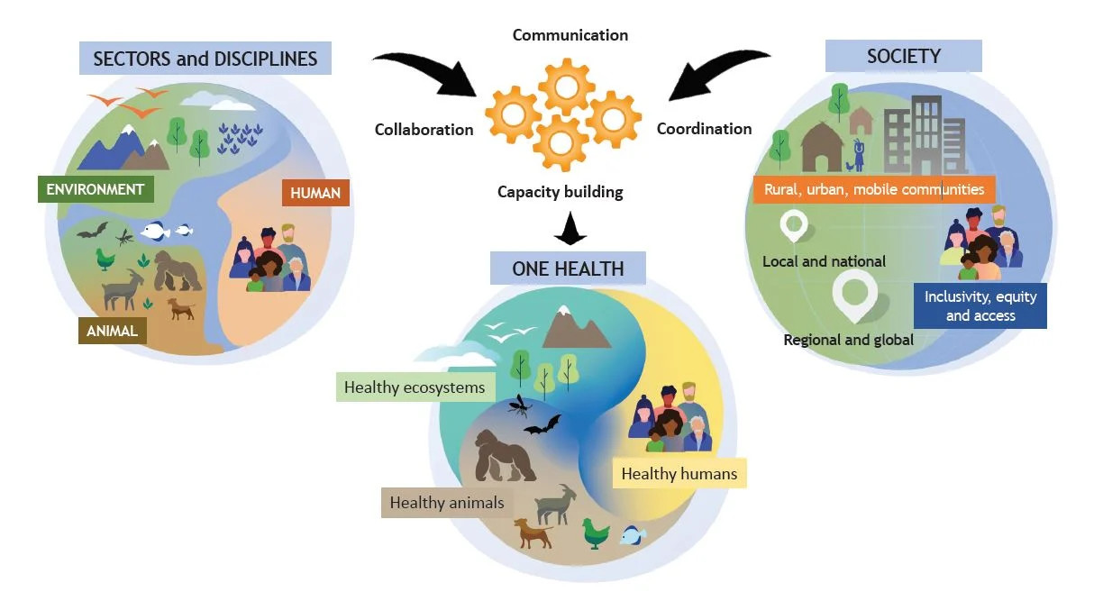 One Health Diagram